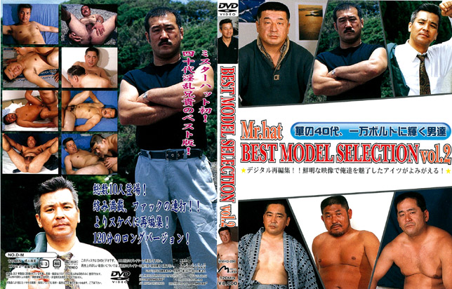 BEST MODEL SELECTION vol.2（DVD復刻版)