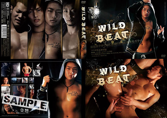 WILD BEAT(DVD)