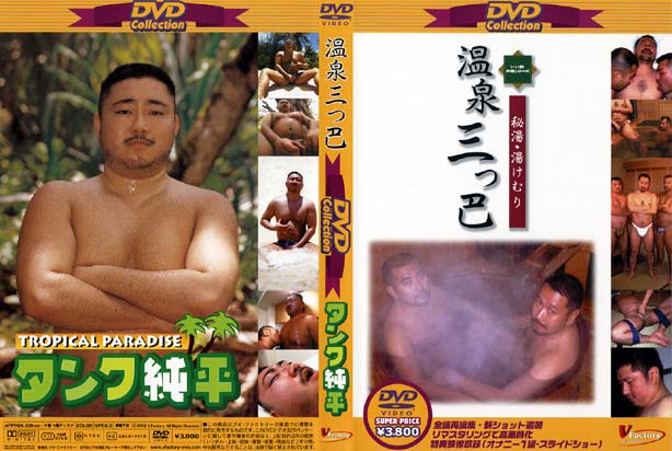DVD Collection 2 -温泉三つ巴＆タンク純平-(再販版DVD)