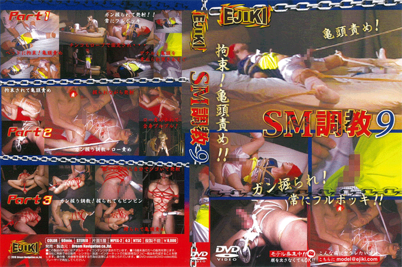 SM調教 9(DVD)