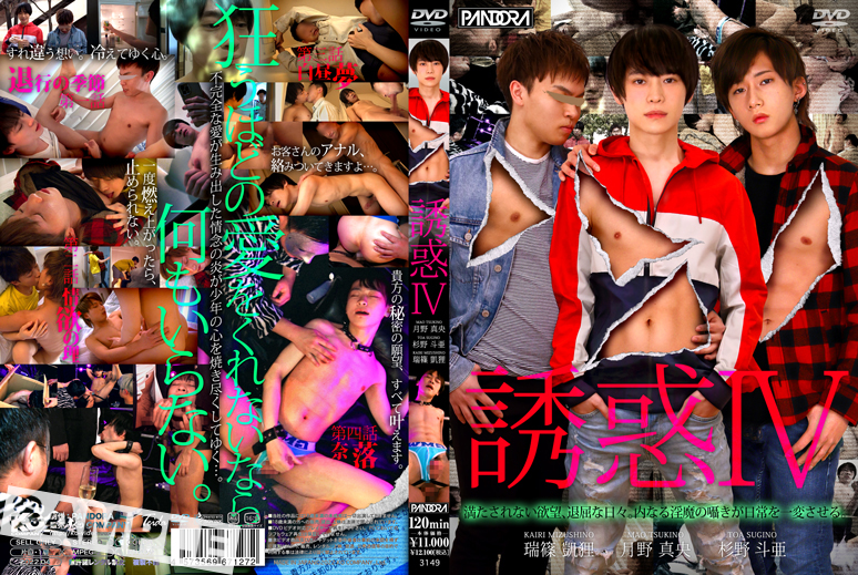 誘惑 IV(DVD)