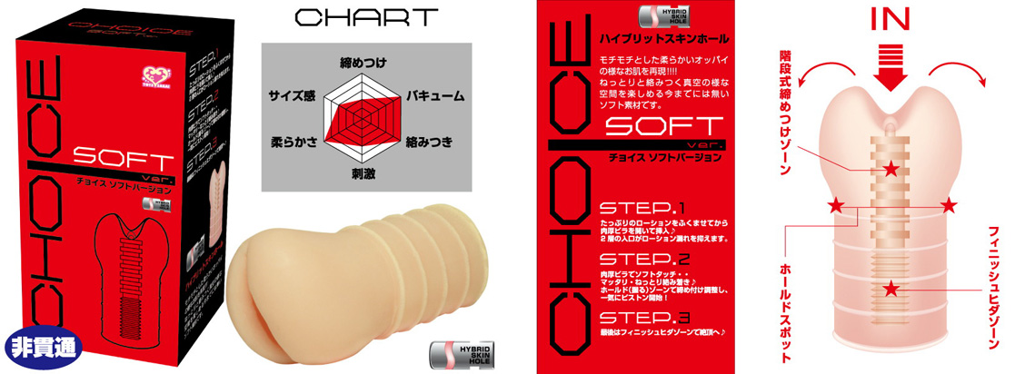 CHOICE SOFT ver - ウインドウを閉じる